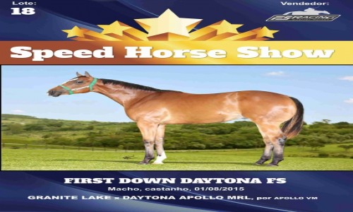 FIRST DOWN DAYTONA FS 