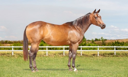 MONALIZA APPEALS BLU 