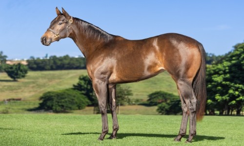 ANIHLATOR KISSER GPI 