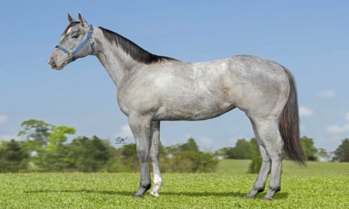 RCH EMBAIXATRIZ LAKE 