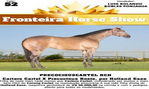 PRECOCIOUSCARTEL RCH 