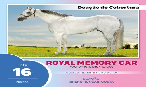ROYAL MEMORY CAR 