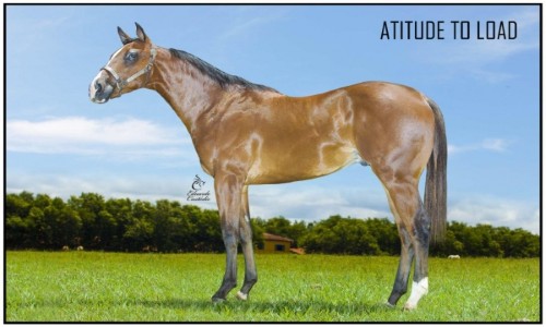 ATITUDE TO LOAD 