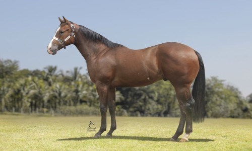 KENTUCKY SENATOR HJS 