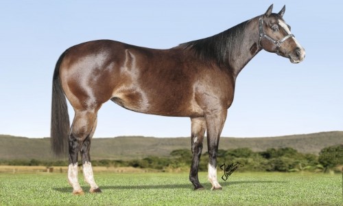 VENTRE BELLA RAGAZZA 