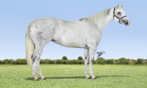 EMBRIAO MEKIMO REASON X PRINCESS OSAKA DASH 