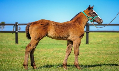 GRANITE LAKE X CONSTANCIA 