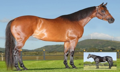 NN ATACAMA BRYAN X GRANITE LAKE 