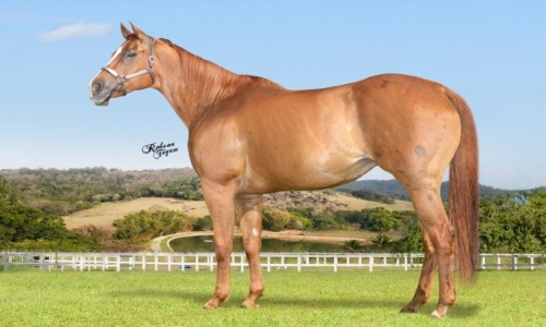 EMBRIAO CORONA FOR ME X SHEZA SHY SHAHAYLA 