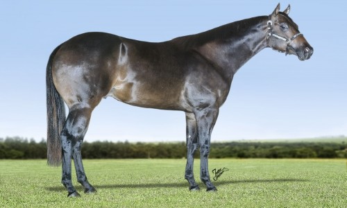 DESCAMINHO CORONA HF 