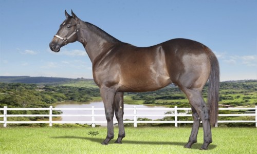 RAGNAROK GRANITE SAM 