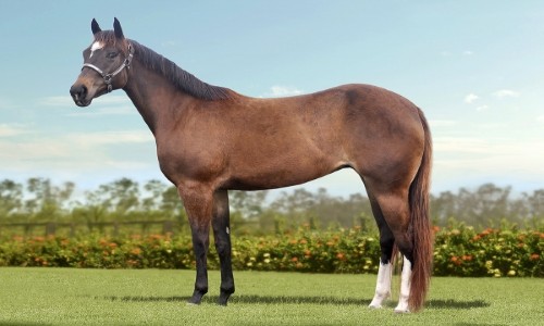 SHES FEATURED CARTEL 