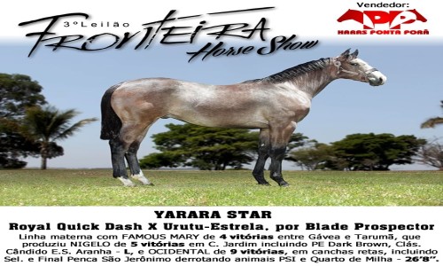 YARARA STAR 