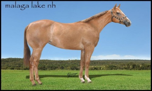 MALAGA LAKE NH 