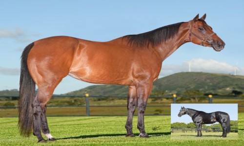 NN THREE TIMES TOLL X GRANITE LAKE 