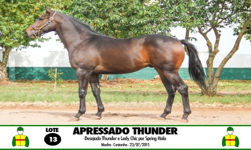 APRESSADO THUNDER 