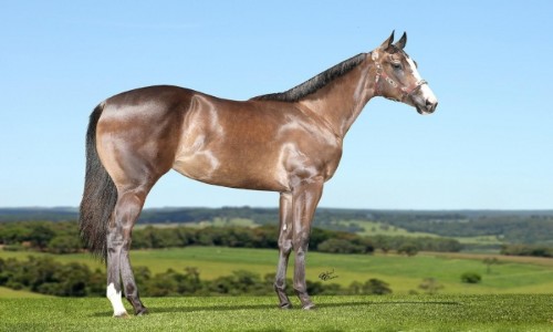 NIGERIA FANTASTIC NH 