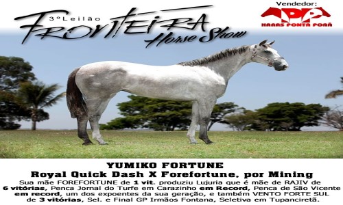 YUMIKO FORTUNE 