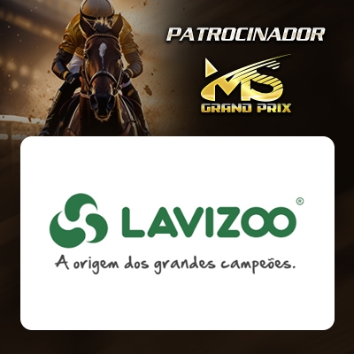 Lavizoo 