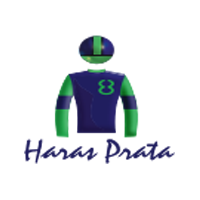 Haras Prata 