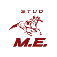 STUD M.E. 